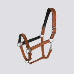 Waldhausen Licol Atheltic...