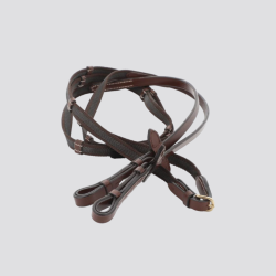 EQUITHEME Eric Thomas Rêne...