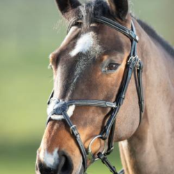 HFI Bridon Mexicaine