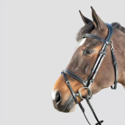 HFI Bridon Functional...