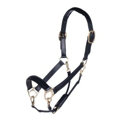 HKM Licol en cuir "Gold" Noir