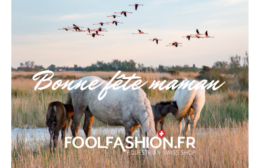 Carte Cadeau fête des mères