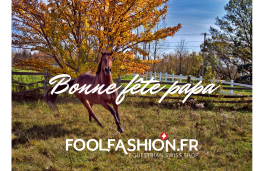 Carte Cadeau fête des pères